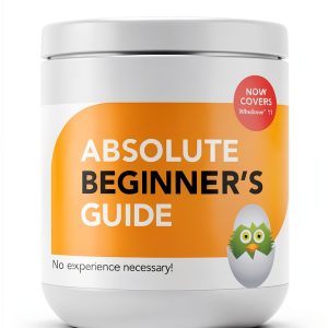 Microsoft Windows 10 Beginner's Guide 10th Edition by Que Publishing-0